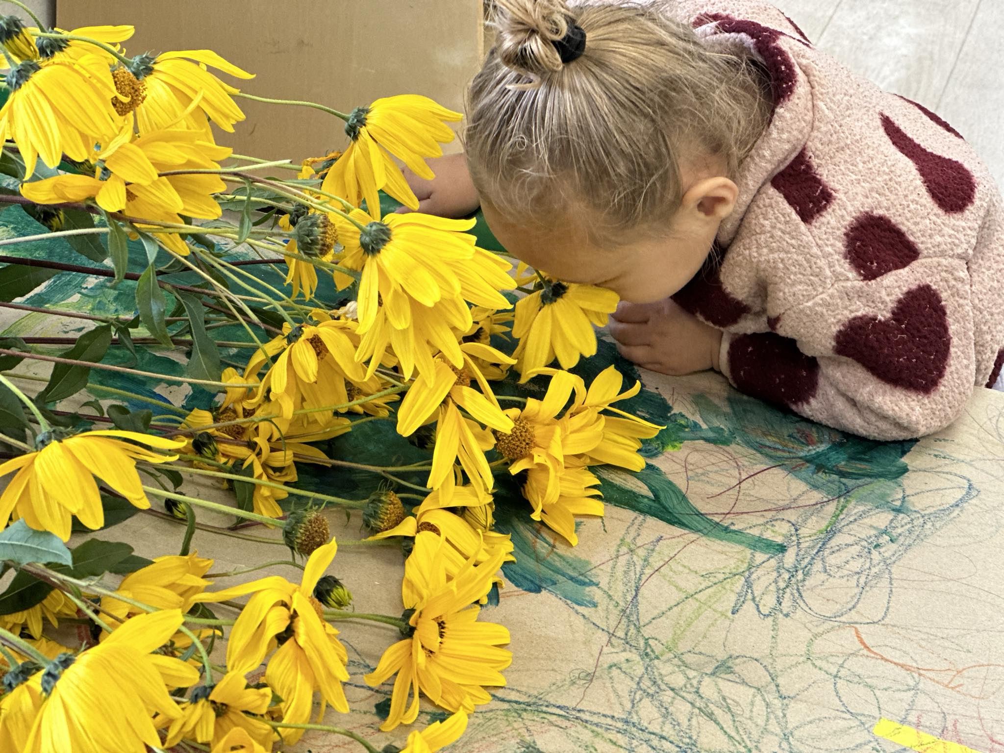 A Tiny Stars child closely exploring yellow flowers